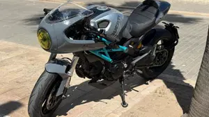 Ducati Monster 796 ABS (2010 - 14)  (3)