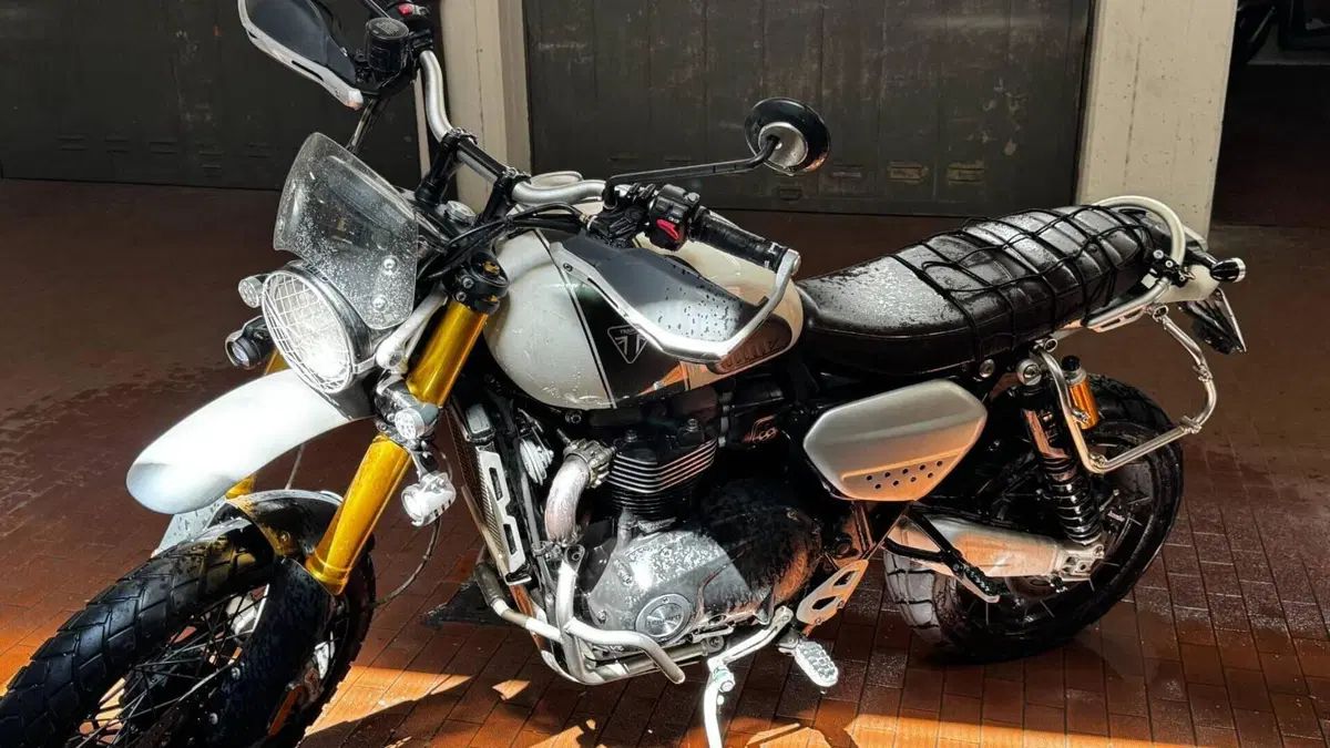 Triumph Scrambler 1200 XE (2019 - 20) 