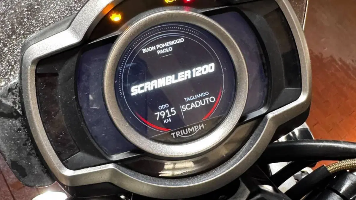 Triumph Scrambler 1200 XE (2019 - 20)  (7)