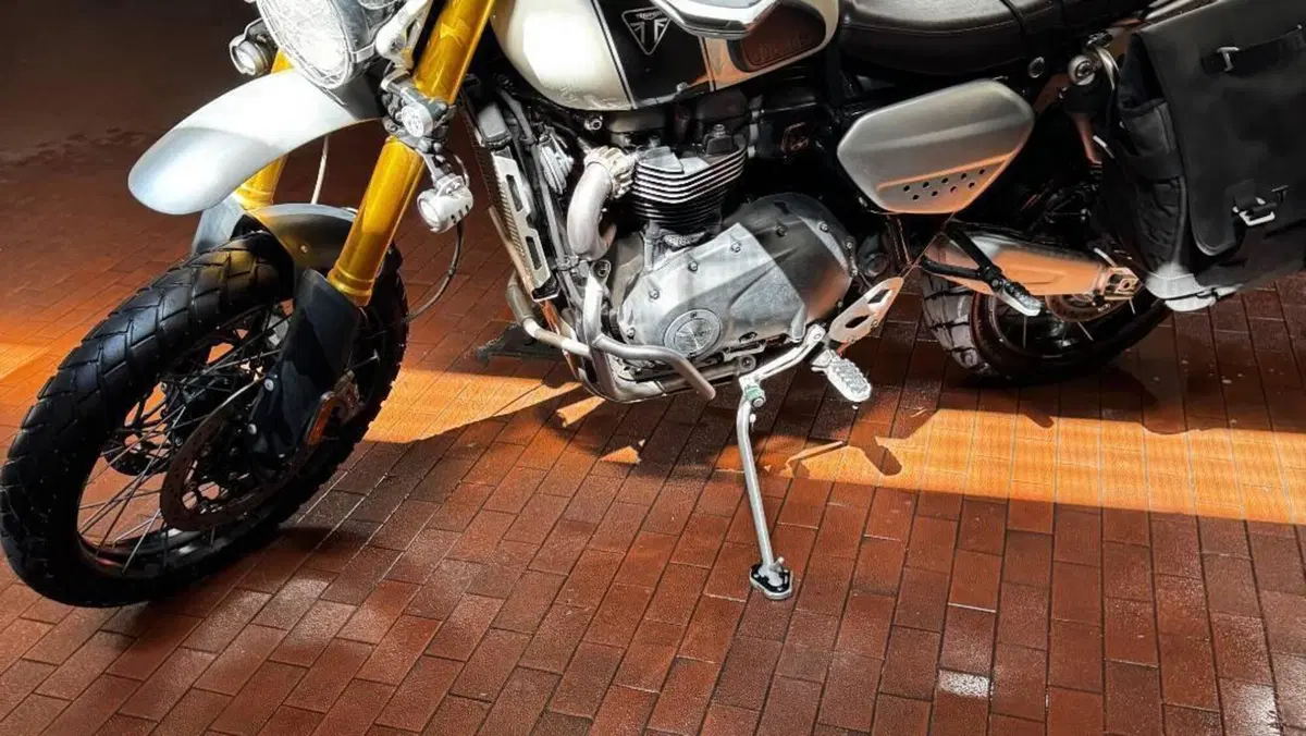 Triumph Scrambler 1200 XE (2019 - 20)  (16)