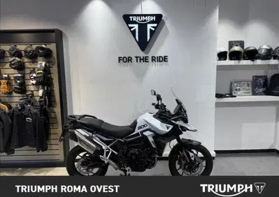 Triumph Tiger 900 GT Pro (2024 - 26) - Annuncio 9917859