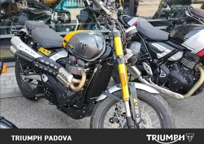 Triumph Scrambler 900 (2026) - Annuncio 10052822