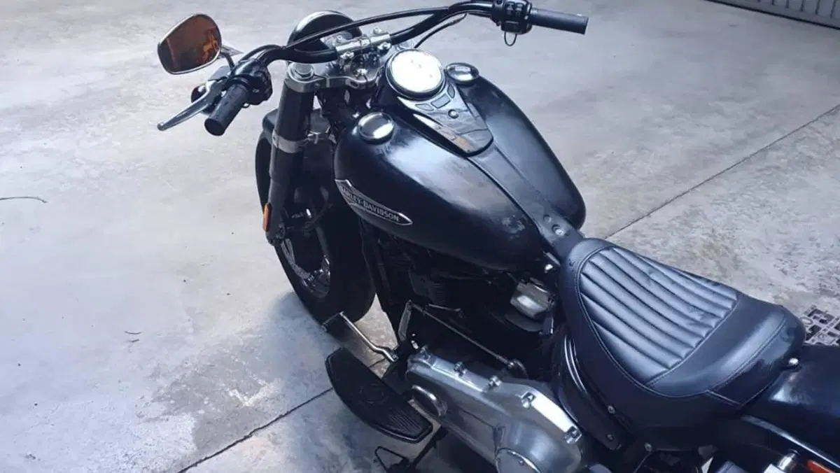 Harley-Davidson 114 Fat Boy (2018 - 20) - FLFBS  (3)
