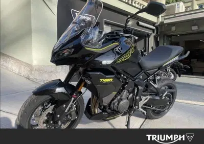 Triumph Tiger Sport 800 (2025 - 26) - Annuncio 9953946