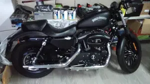 Harley-Davidson 883 Iron (2012 - 14) - XL 883N  (2)