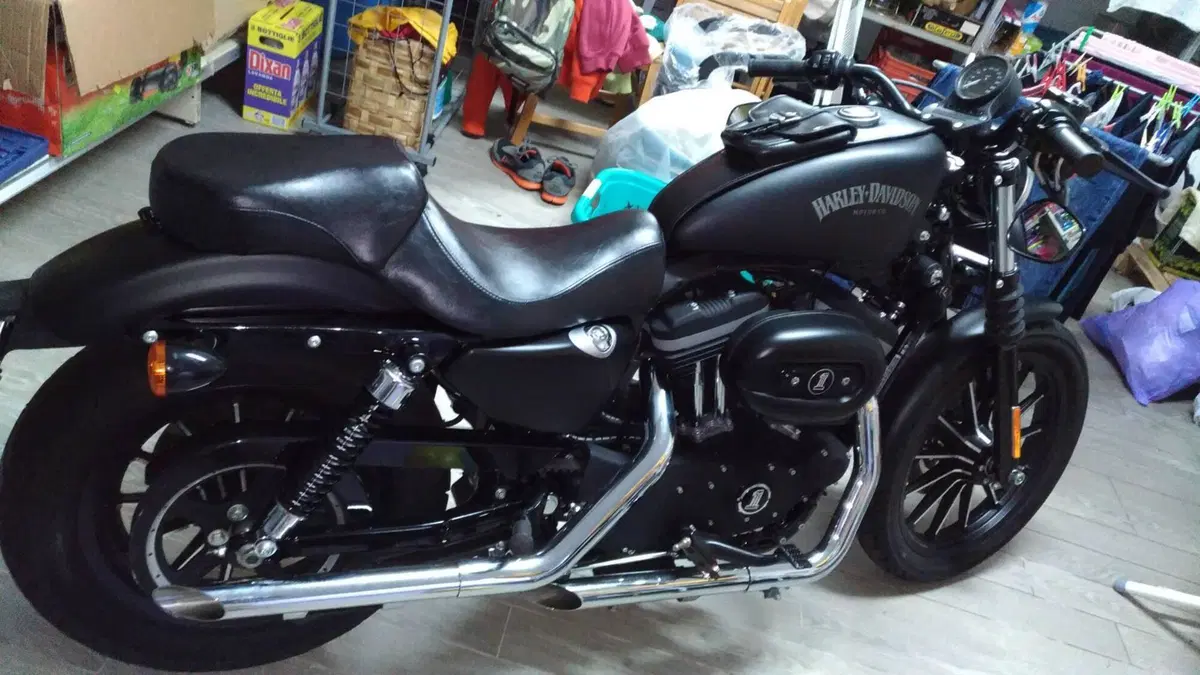 Harley-Davidson 883 Iron (2012 - 14) - XL 883N  (5)