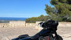 Harley-Davidson 107 Street Glide Special (2017 - 19) - FLHXS  (5)