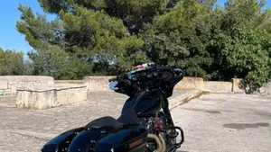Harley-Davidson 107 Street Glide Special (2017 - 19) - FLHXS  (6)