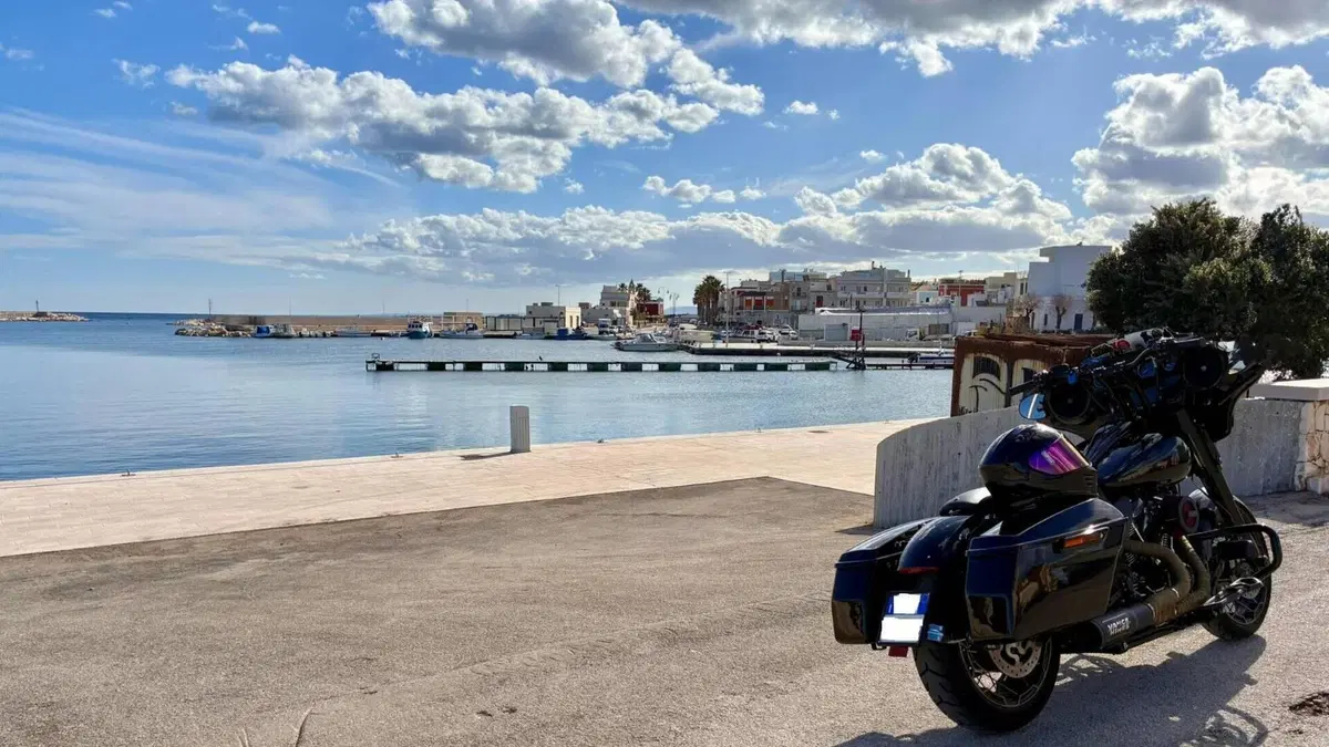 Harley-Davidson 107 Street Glide Special (2017 - 19) - FLHXS  (7)
