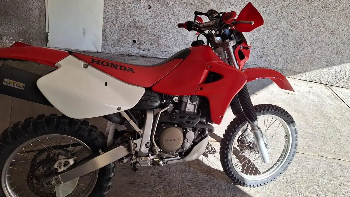 Honda XR 650 R A.E. Dall'Ara  (4)
