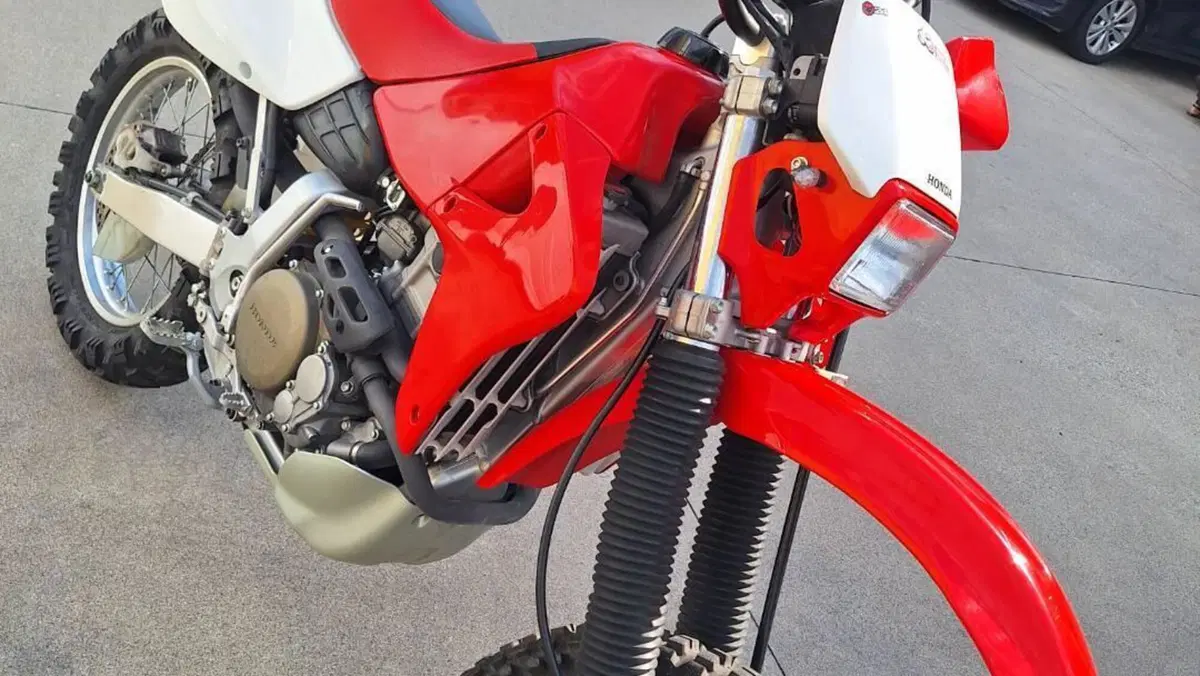 Honda XR 650 R A.E. Dall'Ara  (7)