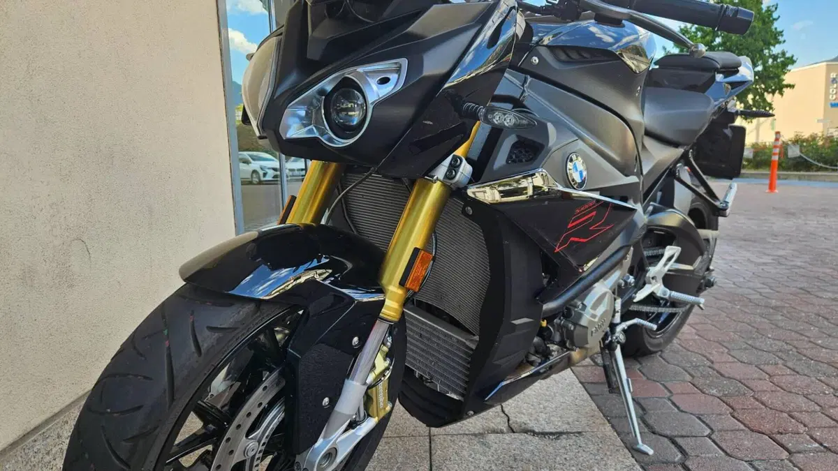 Bmw S 1000 R (2017 - 20)  (2)