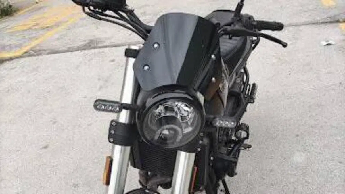 Benelli Leoncino 500 Trail (2021 - 26)  (4)