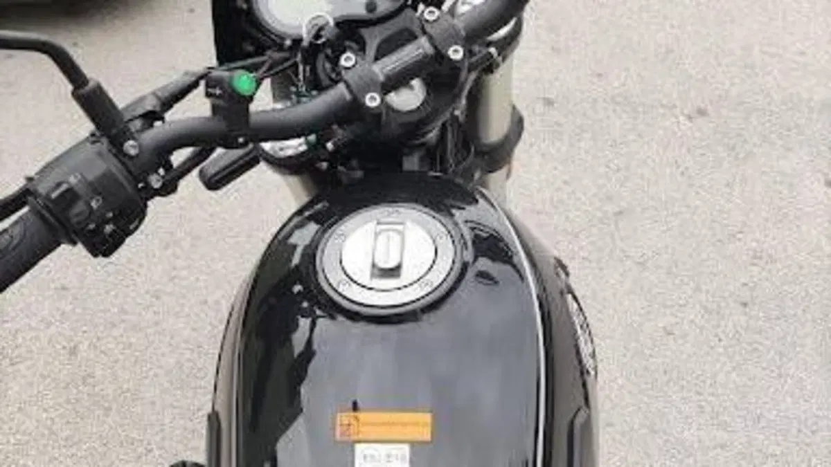 Benelli Leoncino 500 Trail (2021 - 26)  (5)