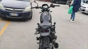 Benelli Leoncino 500 Trail (2021 - 26)  (7)