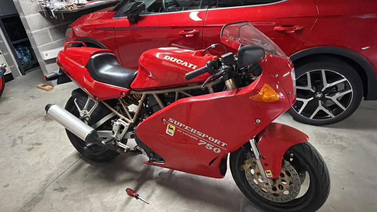 Ducati   (3)