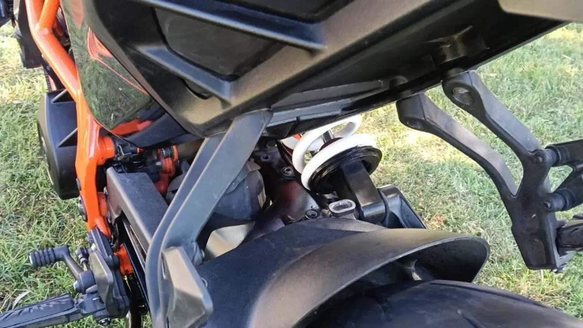 KTM 390 Duke (2024 - 25)  (10)