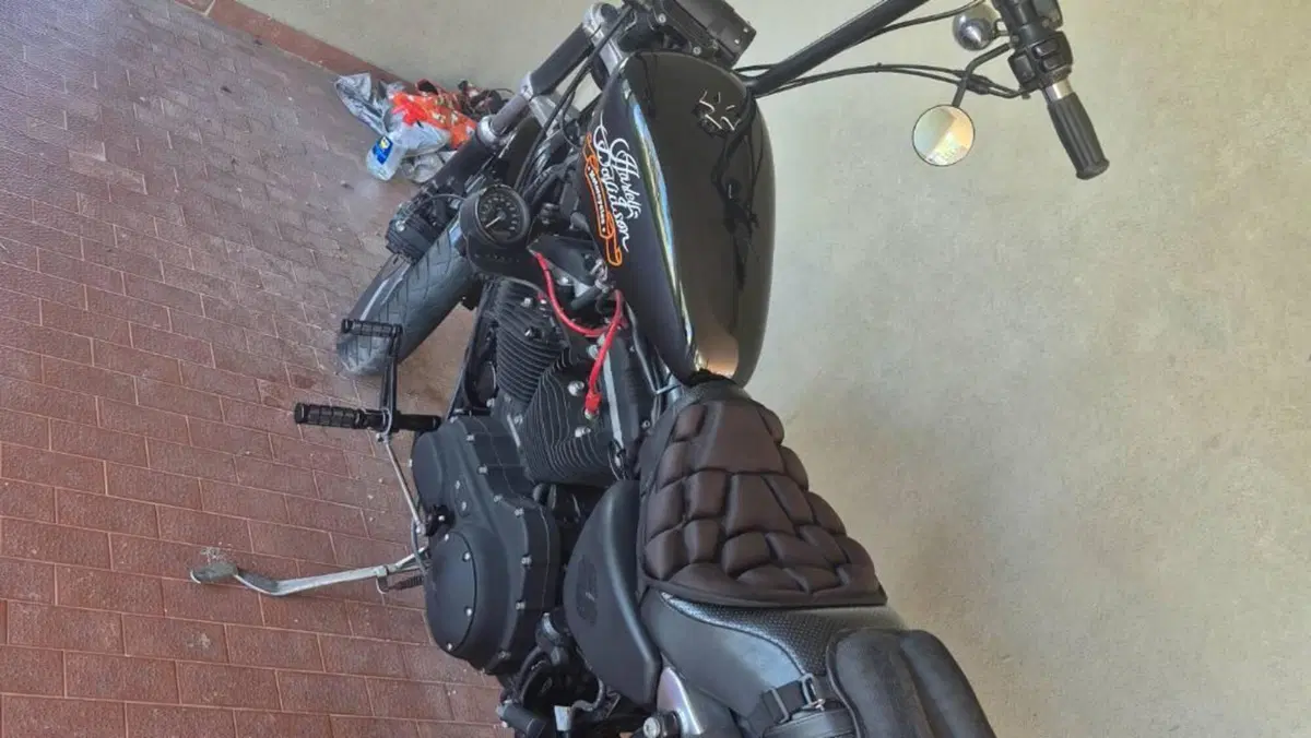Harley-Davidson 883 R (2006 - 07) - XL 883R  (6)