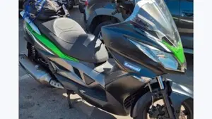 Kawasaki J 300 (2014) 