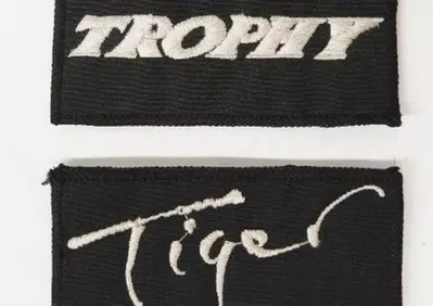 Toppe Triumph - Annuncio 6464283