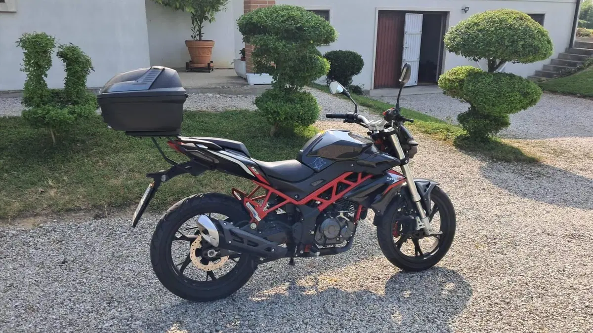 Benelli BN 125 (2018 - 20)  (2)