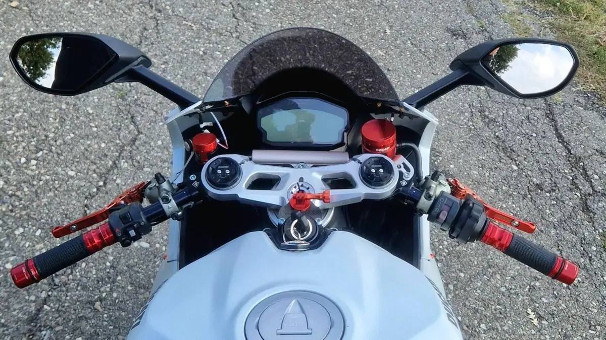 Ducati 959 Panigale (2016 - 19)  (14)