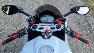 Ducati 959 Panigale (2016 - 19)  (14)