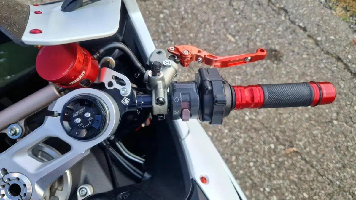 Ducati 959 Panigale (2016 - 19)  (15)