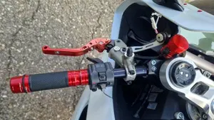 Ducati 959 Panigale (2016 - 19)  (16)
