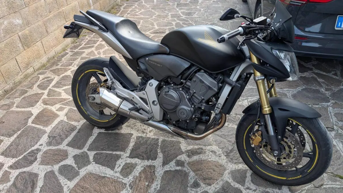 Honda Hornet 600 (2007 - 10)  (2)