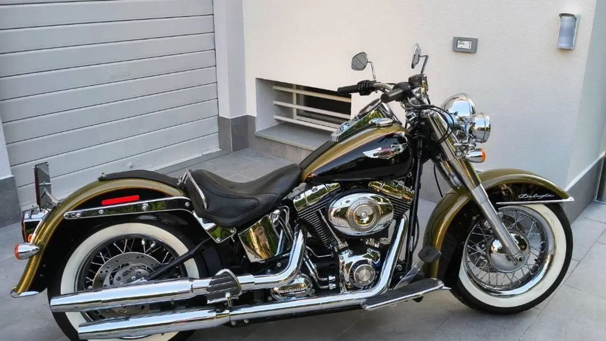 Harley-Davidson 1584 Deluxe (2007 - 08) - FLSTN 