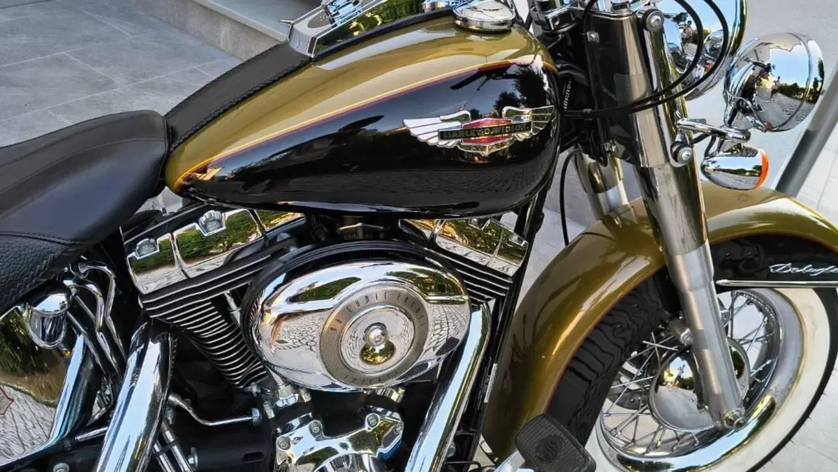 Harley-Davidson 1584 Deluxe (2007 - 08) - FLSTN  (2)