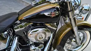Harley-Davidson 1584 Deluxe (2007 - 08) - FLSTN  (2)
