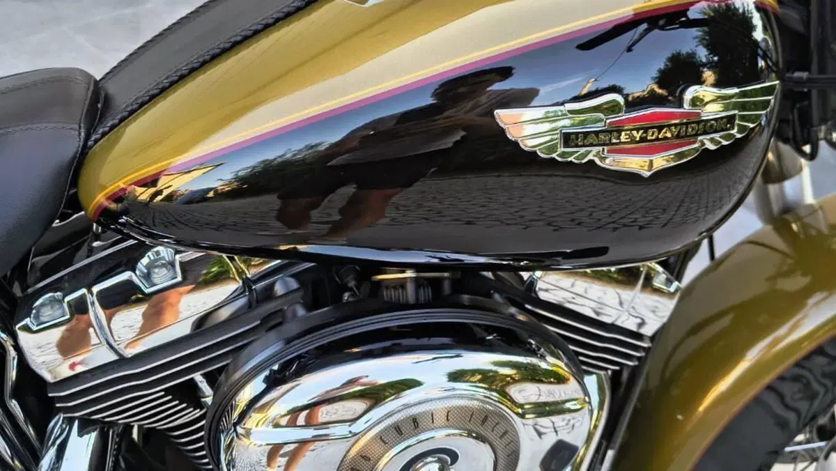 Harley-Davidson 1584 Deluxe (2007 - 08) - FLSTN  (3)