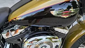 Harley-Davidson 1584 Deluxe (2007 - 08) - FLSTN  (3)