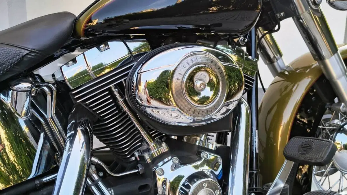 Harley-Davidson 1584 Deluxe (2007 - 08) - FLSTN  (4)