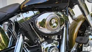 Harley-Davidson 1584 Deluxe (2007 - 08) - FLSTN  (4)