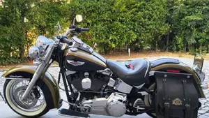 Harley-Davidson 1584 Deluxe (2007 - 08) - FLSTN  (5)