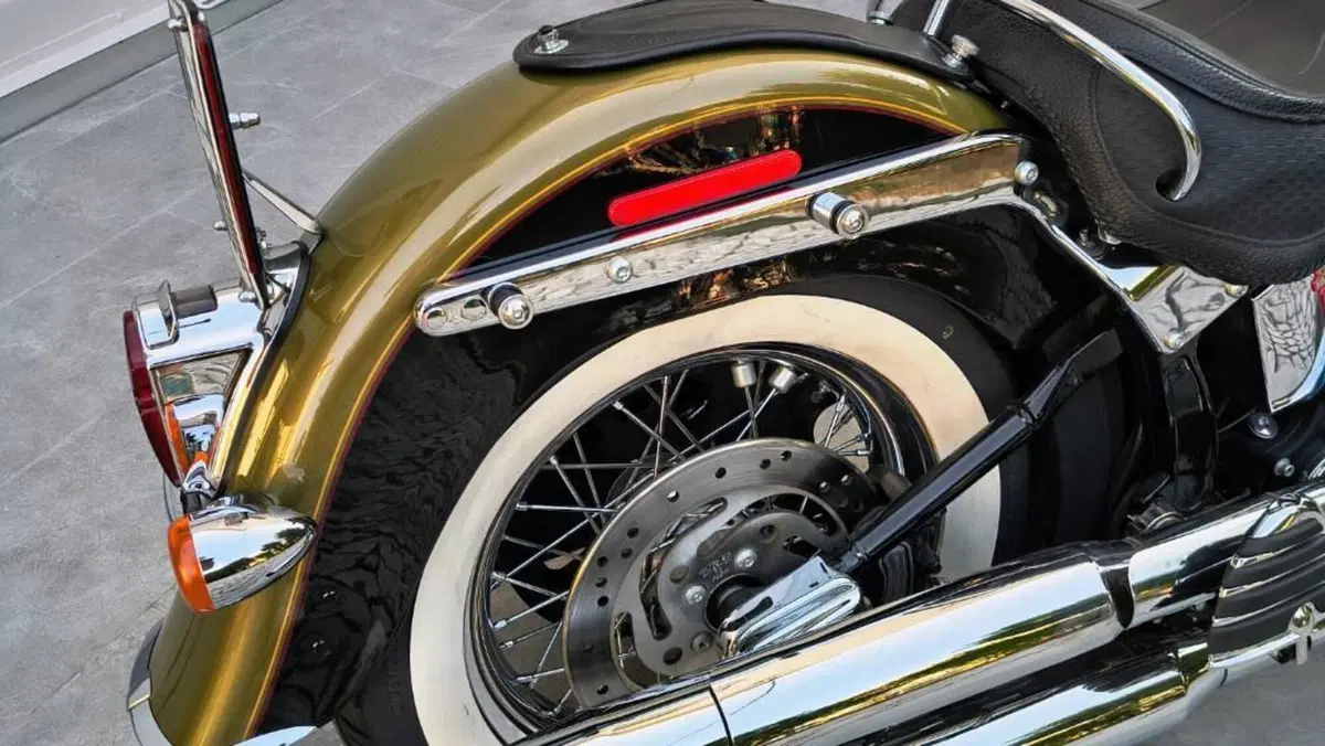 Harley-Davidson 1584 Deluxe (2007 - 08) - FLSTN  (6)