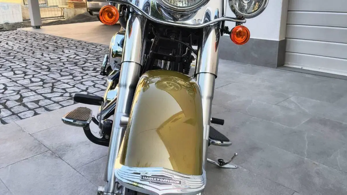 Harley-Davidson 1584 Deluxe (2007 - 08) - FLSTN  (7)