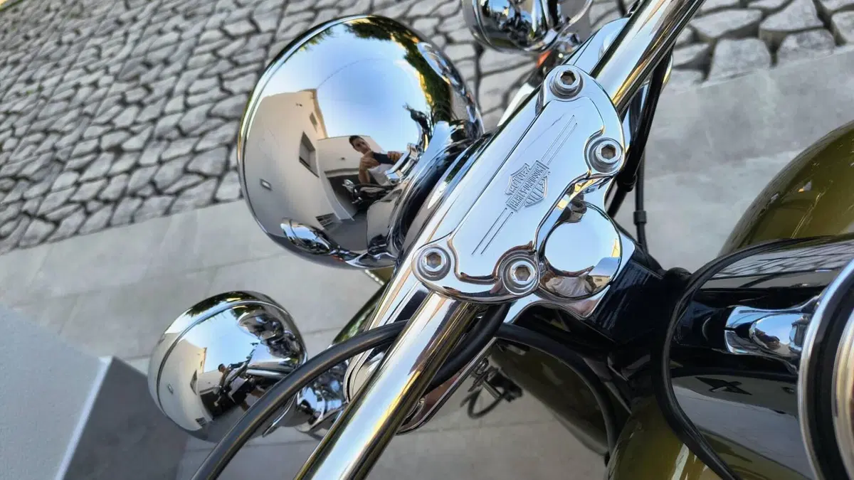 Harley-Davidson 1584 Deluxe (2007 - 08) - FLSTN  (9)
