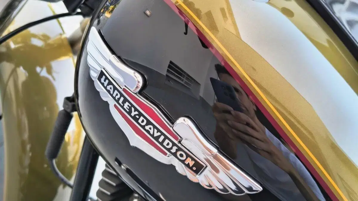 Harley-Davidson 1584 Deluxe (2007 - 08) - FLSTN  (10)