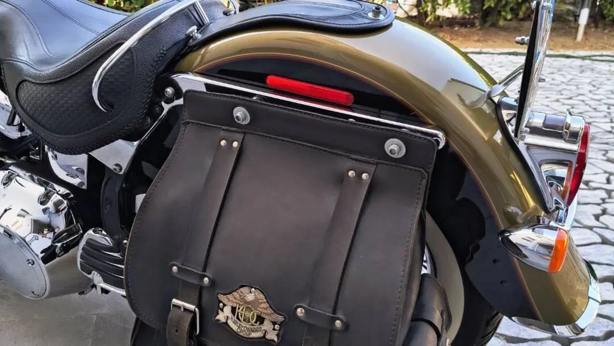 Harley-Davidson 1584 Deluxe (2007 - 08) - FLSTN  (11)