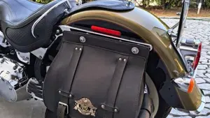 Harley-Davidson 1584 Deluxe (2007 - 08) - FLSTN  (11)