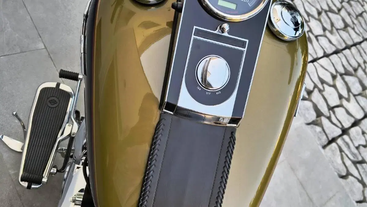 Harley-Davidson 1584 Deluxe (2007 - 08) - FLSTN  (12)