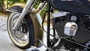 Harley-Davidson 1584 Deluxe (2007 - 08) - FLSTN  (13)