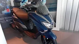 Suzuki Burgman Street 125 Executive (2023 - 26)  (7)