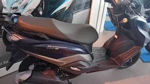 Suzuki Burgman Street 125 Executive (2023 - 26)  (8)