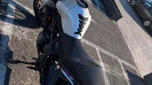 Benelli BN 302 (2017 - 19)  (2)