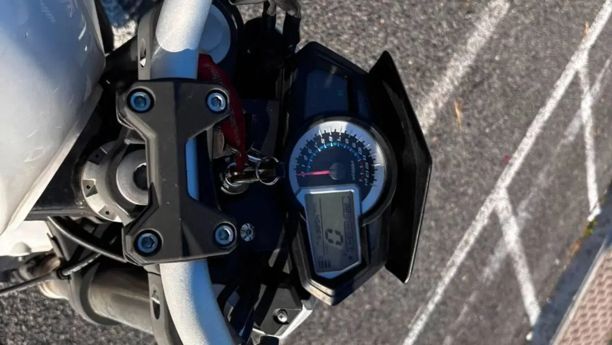 Benelli BN 302 (2017 - 19)  (4)